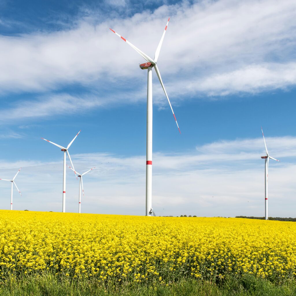pexels photo 31140640 31140640 Idyllic view of wind turbines amidst a vibrant rapeseed field in Lauenburg, Germany.